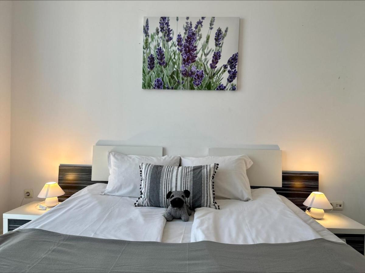 Menada Rainbow Apartments 써니비치 외부 사진